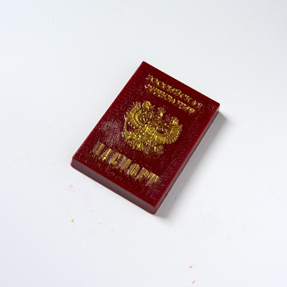 Форма пластиковая для шоколада "Паспорт".(Россия)