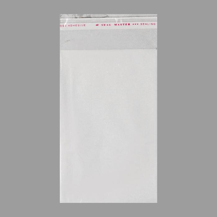 Набор пакетов с липкой лентой, прозрачный 10 х 16/4 см 25 мкм, 10 шт.(Китай)
